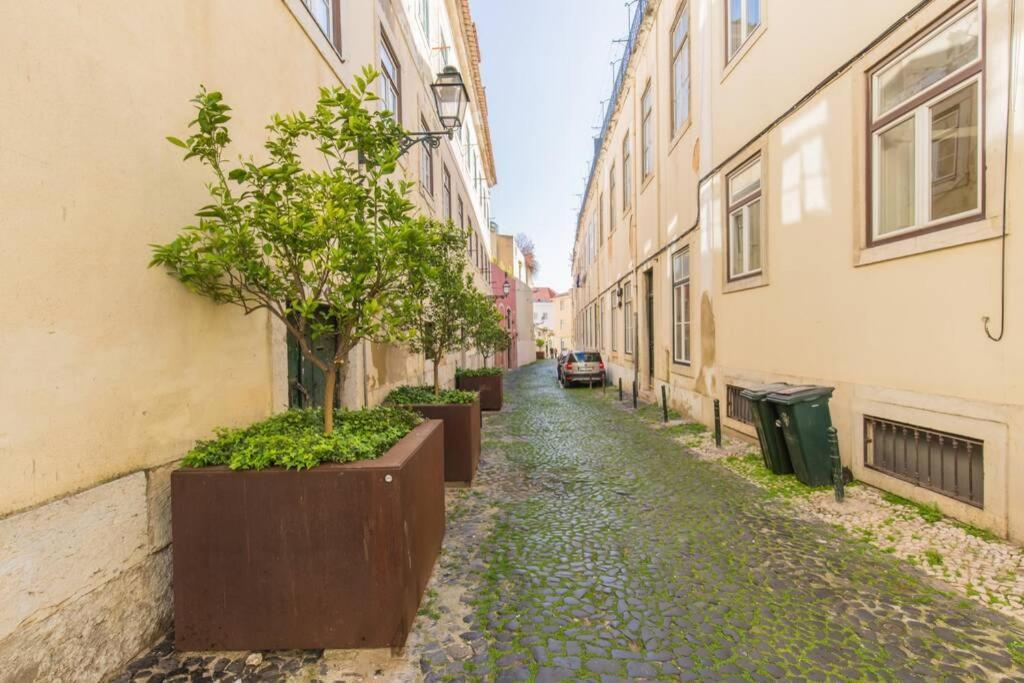 135 A - In Tranquil Flat In Alfama Near Se And Castle * Lisbon